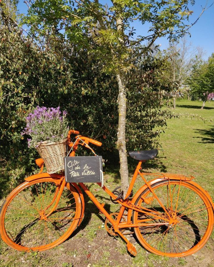 Gite De La Petite Vallee Saint-Savinien Extérieur photo